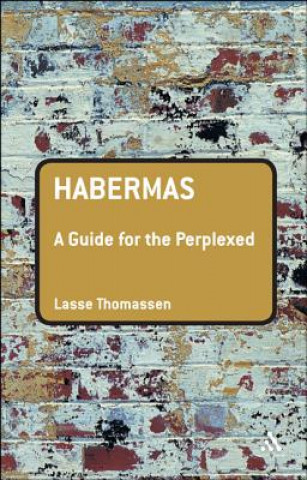 Könyv Habermas: A Guide for the Perplexed Eduardo Mendieta