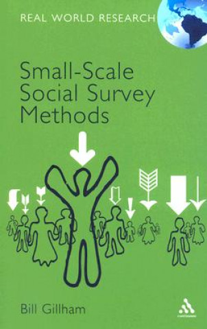 Kniha Small-Scale Social Survey Methods Bill Gillham