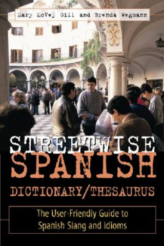 Könyv Streetwise Spanish Dictionary/Thesaurus Mary McVey