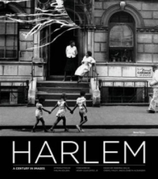 Book Harlem Thelma Golden