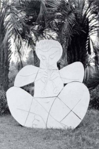 Carte Picasso The Mediterranean Years 1945-1962 John Richardson