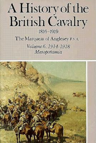 Książka History of the British Cavalry, 1816-1919 Marquess of Anglesey