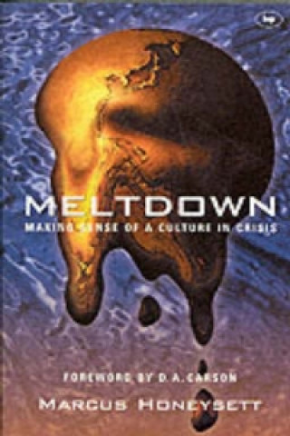 Kniha Meltdown Marcus Honeysett