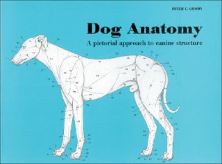 Kniha Dog Anatomy Peter Goody