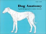Könyv Dog Anatomy Peter Goody