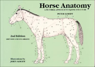 Knjiga Horse Anatomy Peter Goody
