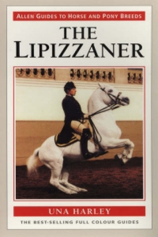 Carte Lipizzaner Horse the Una Harley