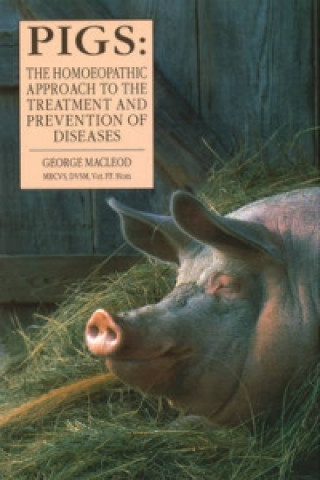 Könyv Pigs George Macleod