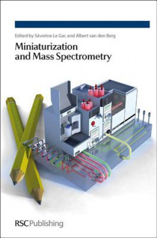 Kniha Miniaturization and Mass Spectrometry Albert Van Den Berg