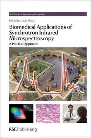 Kniha Biomedical Applications of Synchrotron Infrared Microspectroscopy David Moss