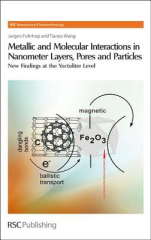 Książka Metallic and Molecular Interactions in Nanometer Layers, Pores and Particles Jurgen-Hinrich Fuhrhop