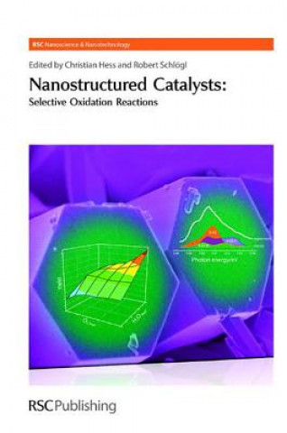 Kniha Nanostructured Catalysts Christian Hess