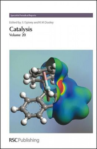 Książka Catalysis Jerry J Spivey