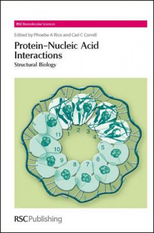 Kniha Protein-Nucleic Acid Interactions Phoebe A Rice