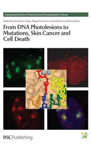 Carte From DNA Photolesions to Mutations, Skin Cancer and Cell Death 