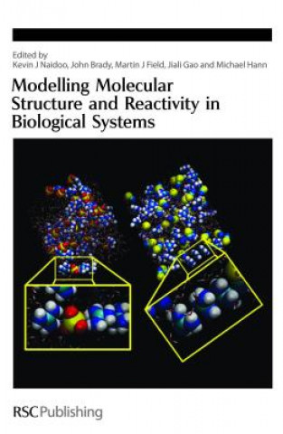 Kniha Modelling Molecular Structure and Reactivity in Biological Systems 