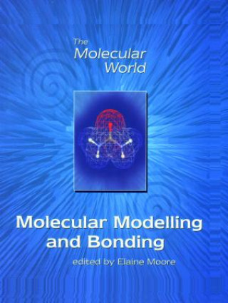 Könyv Molecular Modelling and Bonding E. A. Moore