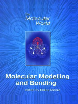 Knjiga Molecular Modelling and Bonding E. A. Moore