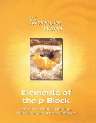 Könyv Elements of the p-Block C. J Harding