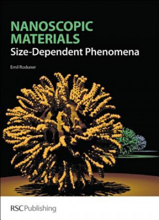 Kniha Nanoscopic Materials E Roduner
