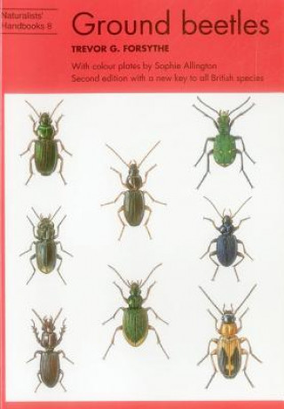 Könyv Ground beetles Trevor G Forsythe