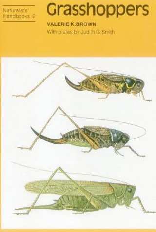 Carte Grasshoppers Valerie K Brown