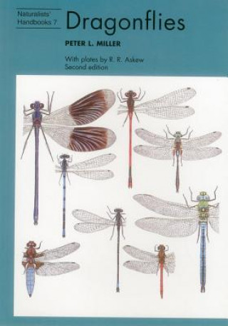 Kniha Dragonflies Miller P.L.