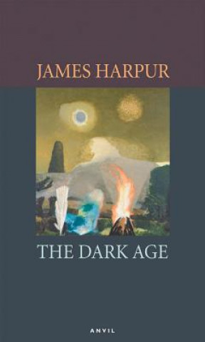 Buch Dark Age James Harper