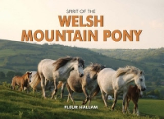 Kniha Spirit of the Welsh Mountain Pony Fleur Hallam