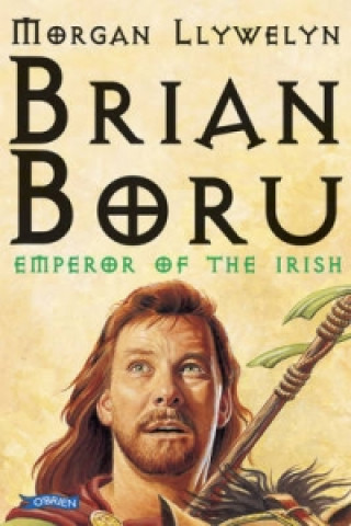 Book Brian Boru Morgan Llywelyn