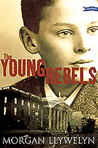 Książka Young Rebels Morgan Llywelyn