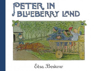 Kniha Peter in Blueberry Land Elsa Beskow