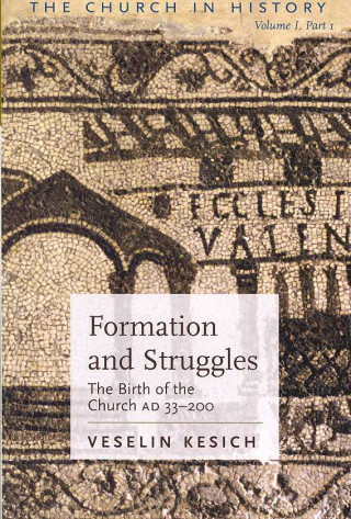 Книга Formation and Struggles Part 1 Veselin Kesich