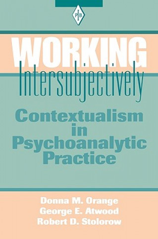 Boek Working Intersubjectively Donna M. Orange