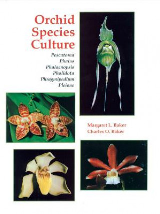 Kniha Orchid Species Culture Margaret L. Baker