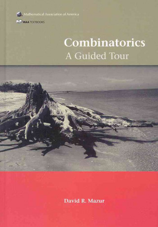 Book Combinatorics David R Mazur