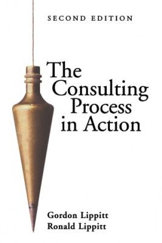 Knjiga Consulting Process In Action 2e Lippitt