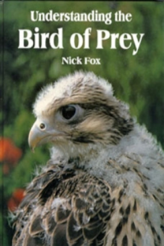 Book Understanding the Bird of Prey Nick Fox