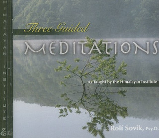 Zvok Three Guided Meditations Rolf Sovik