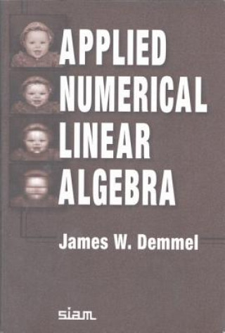 Carte Applied Numerical Linear Algebra James W Demmel