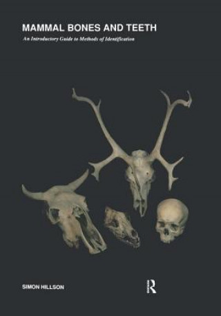 Könyv Mammal Bones and Teeth Simon Hillson