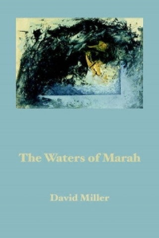 Kniha Waters of Marah David Miller