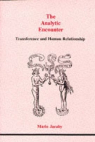 Buch Analytical Encounter Mario Jacoby