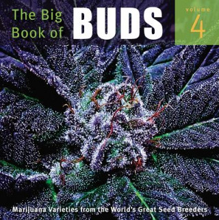 Kniha Big Book of Buds Ed Rosenthal