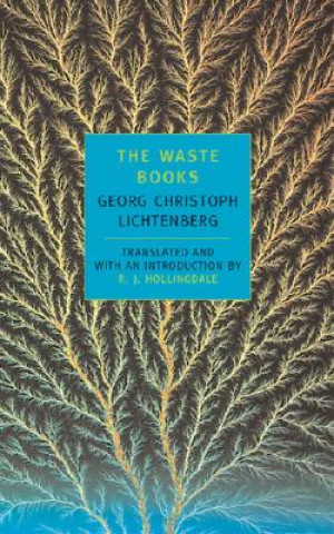 Knjiga Waste Books Georg Lichtenberg