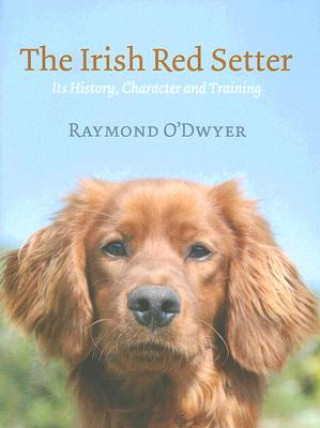 Carte Irish Red Setter Ray Odwyer