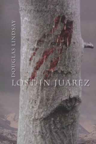 Książka Lost in Juarez Douglas Lindsay