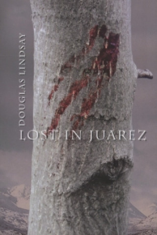 Buch Lost in Juarez Douglas Lindsay