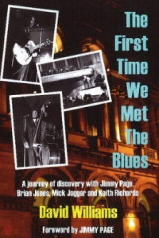 Book First Time We Met the Blues David Williams