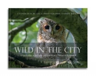 Carte Wild in the City Andrew Wilson